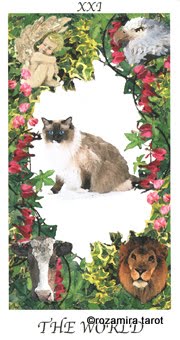 Cat's House Tarot by Hiroko Miyamoto